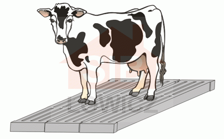 Ruszty dla bydła SIB Łowicz