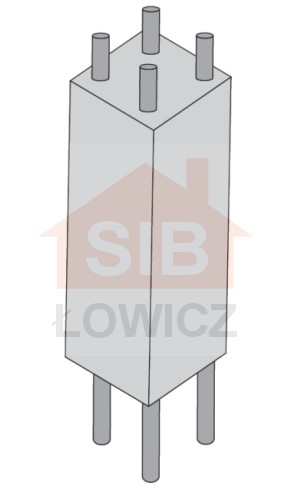 Słupek ze śrubą 200x220x600